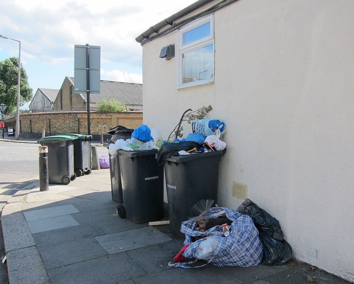 recycling bins lined along a residential street